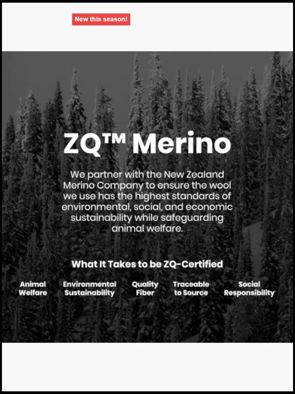 Merino Wool Light Cushion No Show Athletic Socks 3-Pack Unisex